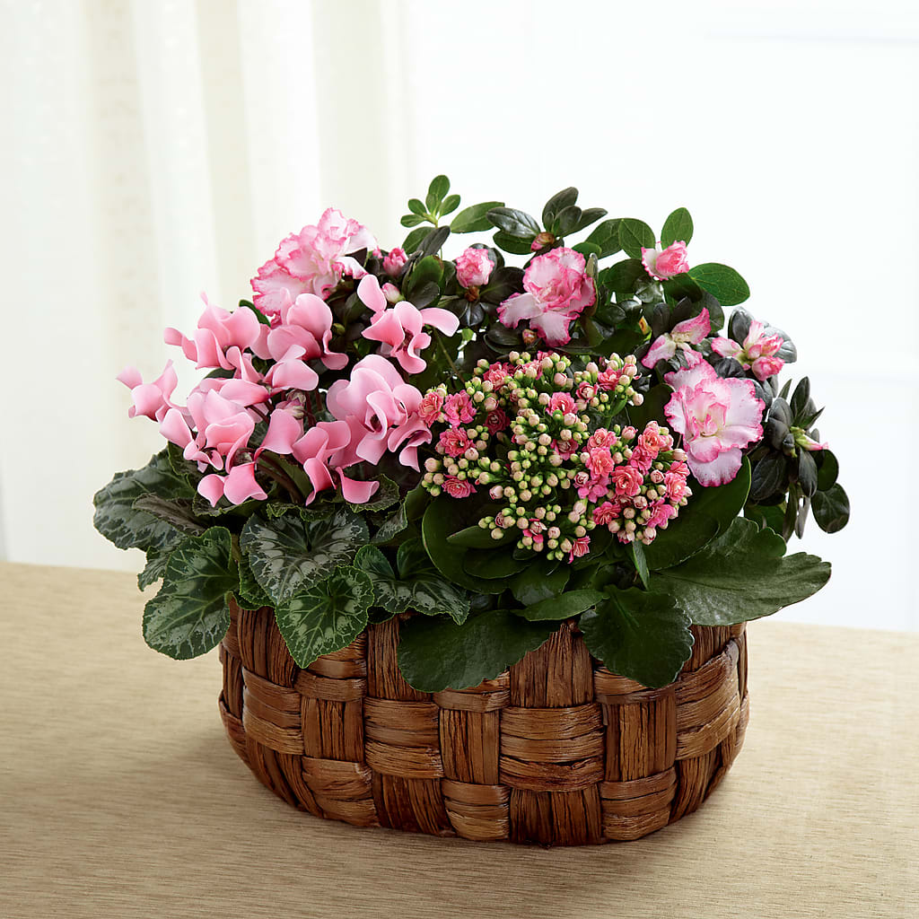 Pink Assortment – RANCHVIEW FLORAL & INTERIORS, Overland Park KS