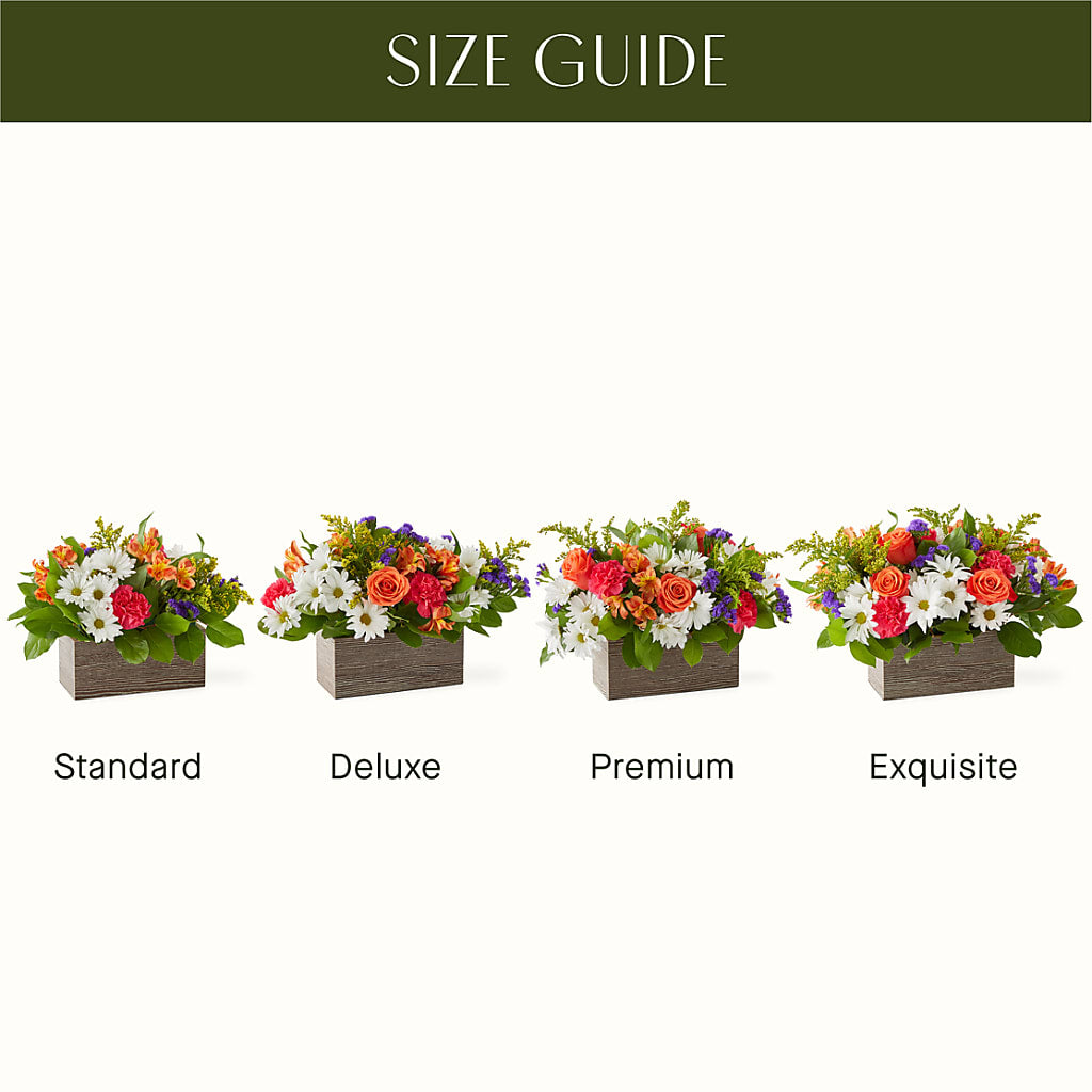Oopsie Daisy Box Bouquet – RANCHVIEW FLORAL & INTERIORS, Overland Park KS