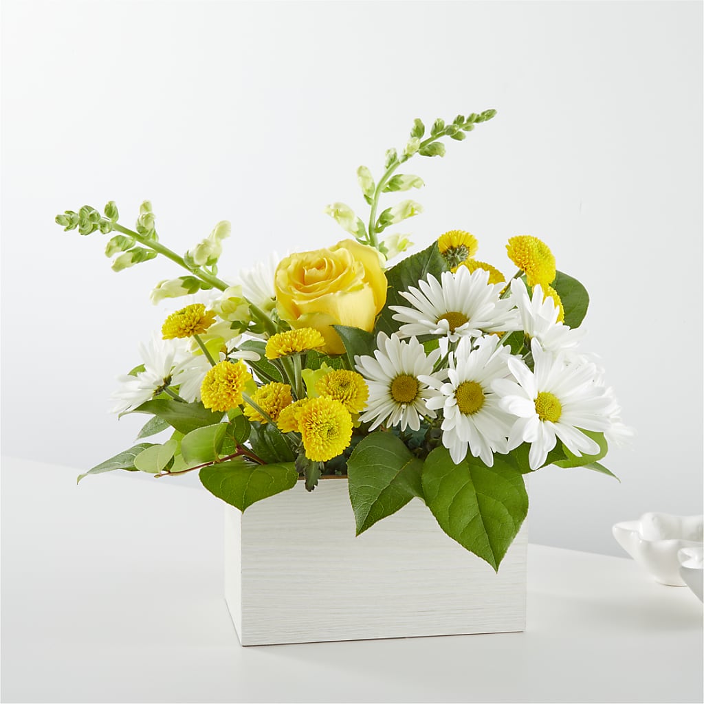 Sun Salutation Box Bouquet – RANCHVIEW FLORAL & INTERIORS, Overland Park KS