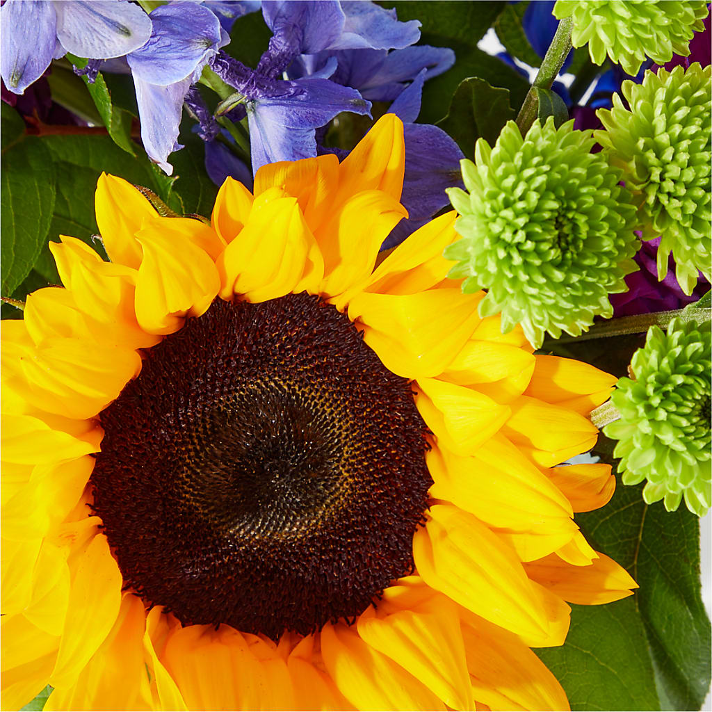 Catching Rays Bouquet – RANCHVIEW FLORAL & INTERIORS, Overland Park KS