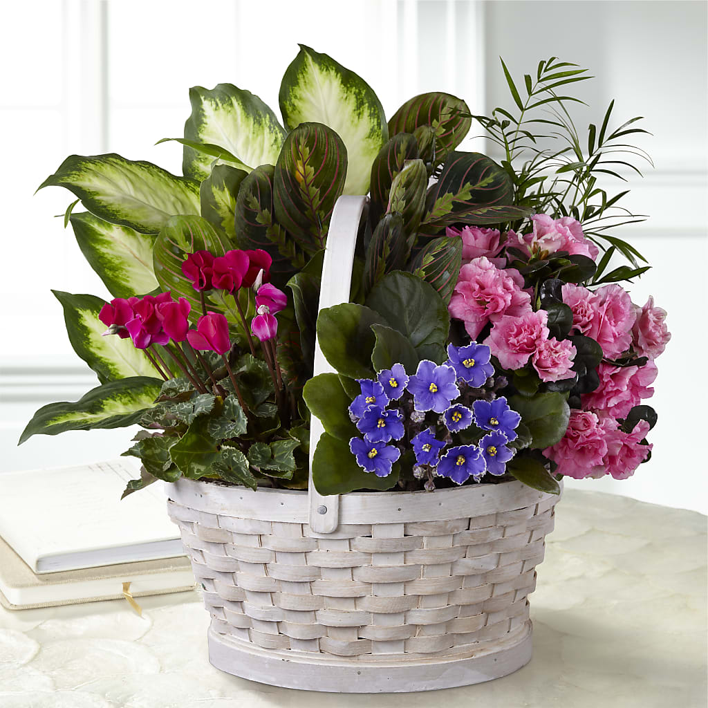 Peaceful Garden Planter – RANCHVIEW FLORAL & INTERIORS, Overland Park KS