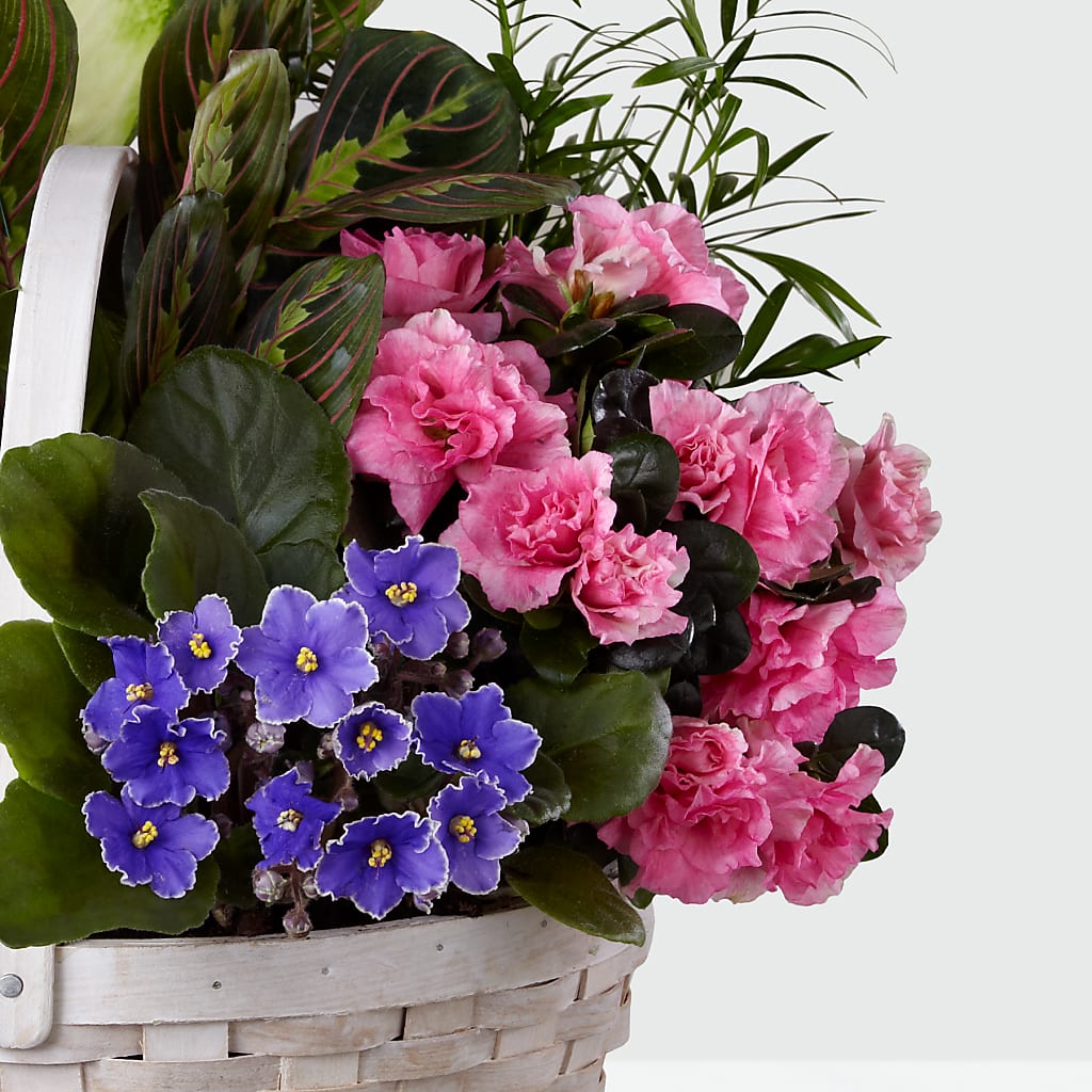 Peaceful Garden Planter – RANCHVIEW FLORAL & INTERIORS, Overland Park KS