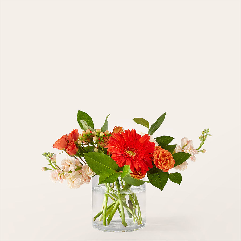 Paloma Please Bouquet – RANCHVIEW FLORAL & INTERIORS, Overland Park KS
