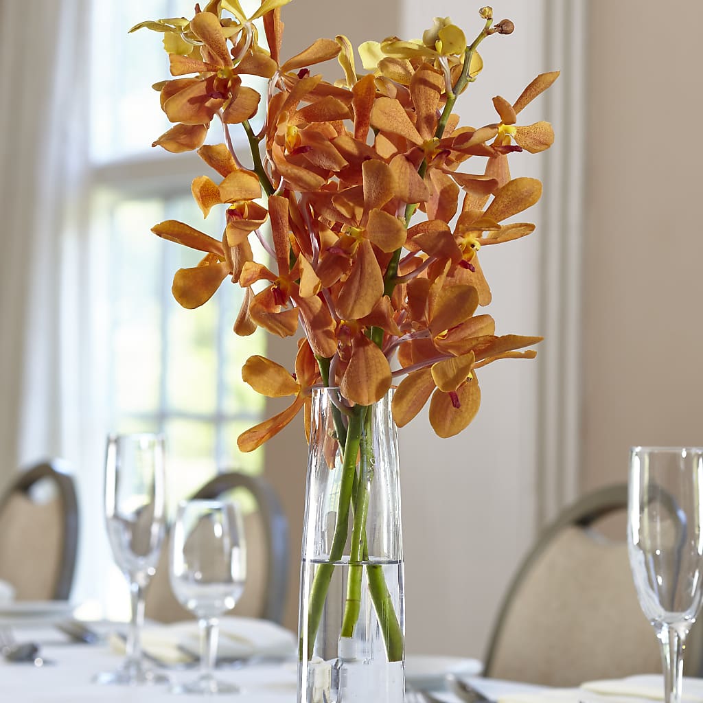 Orange Mokara Bud Vase – RANCHVIEW FLORAL & INTERIORS, Overland Park KS
