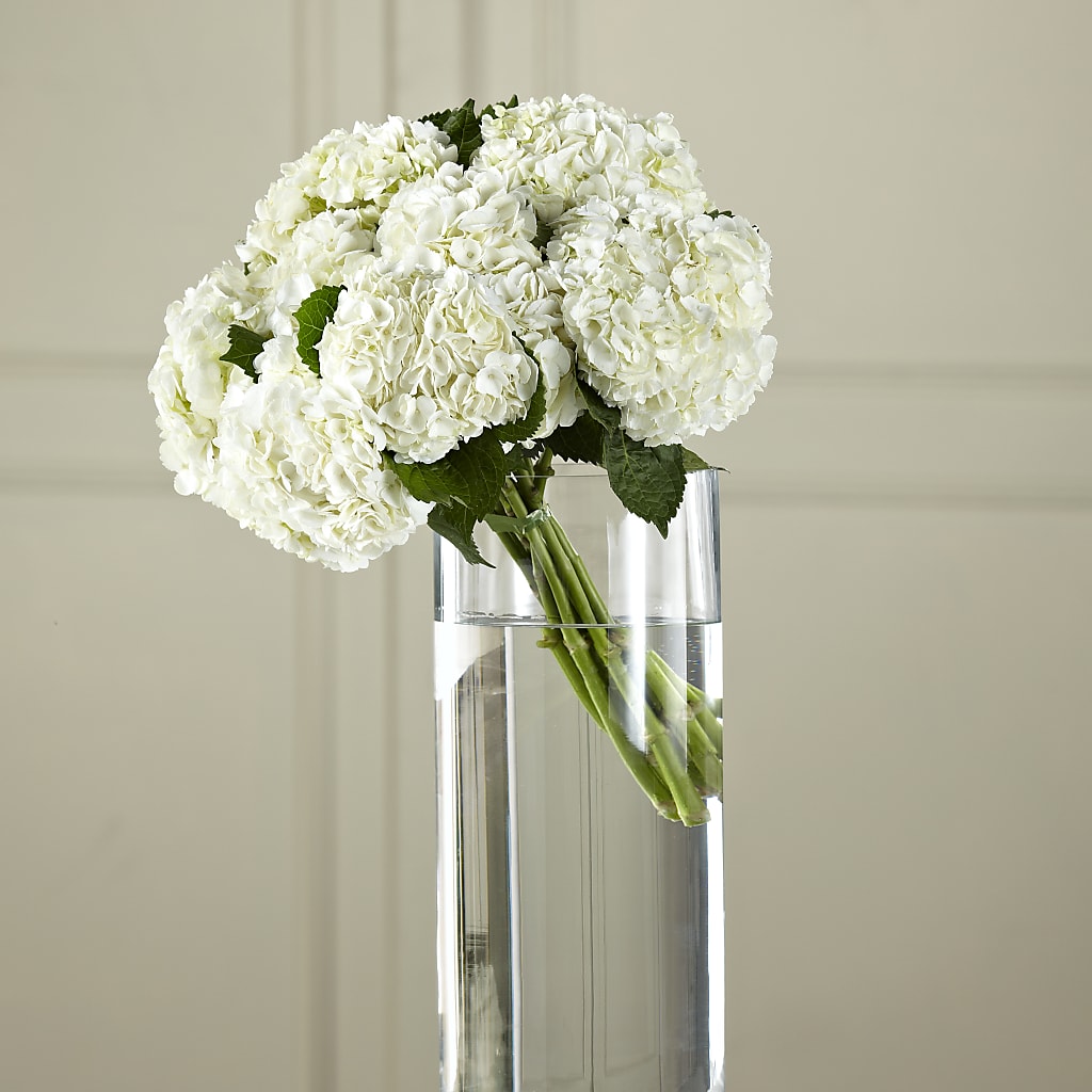 White Hydrangea Hand-Tied Bouquet – RANCHVIEW FLORAL & INTERIORS, Overland Park KS