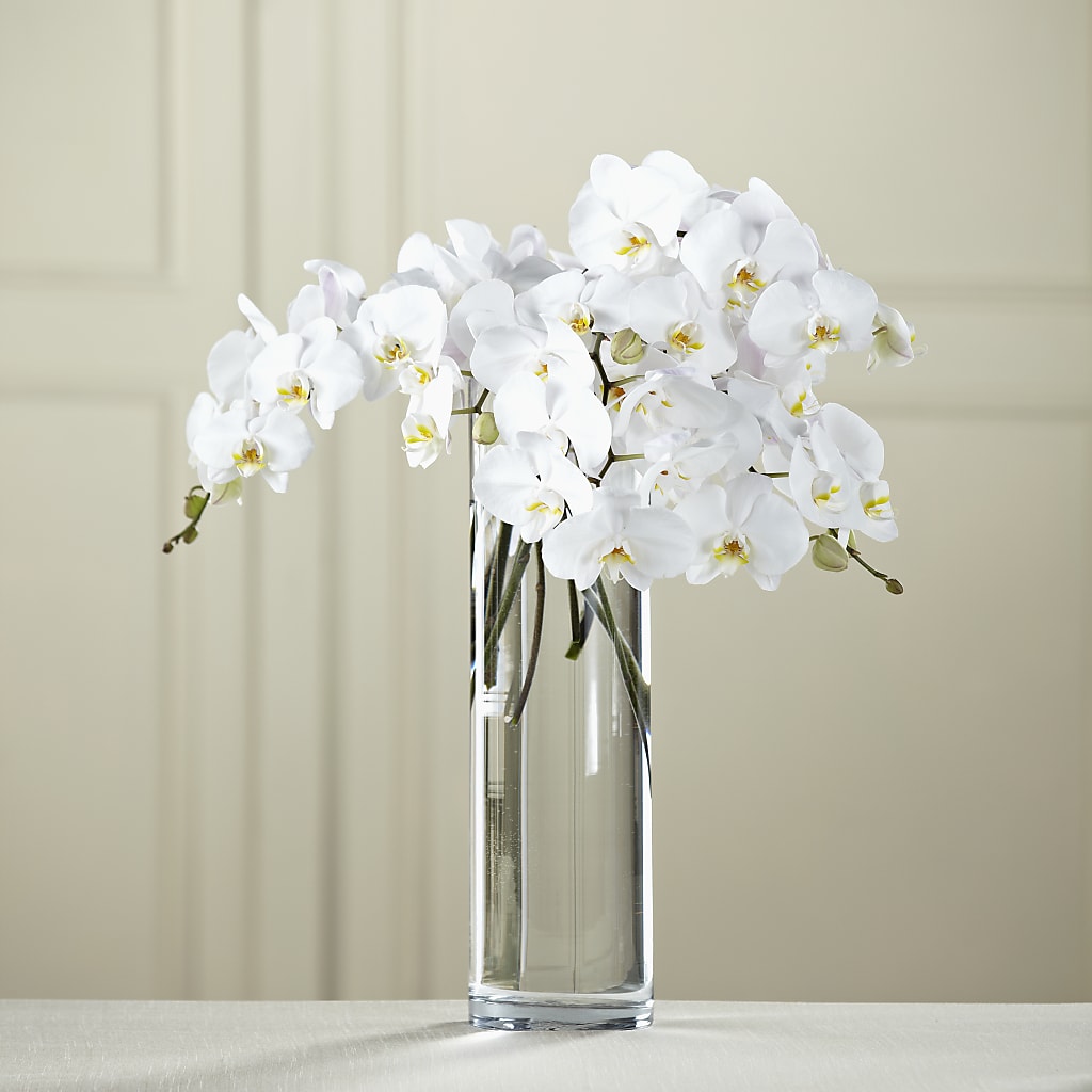White Phalaenopsis Bouquet – RANCHVIEW FLORAL & INTERIORS, Overland Park KS
