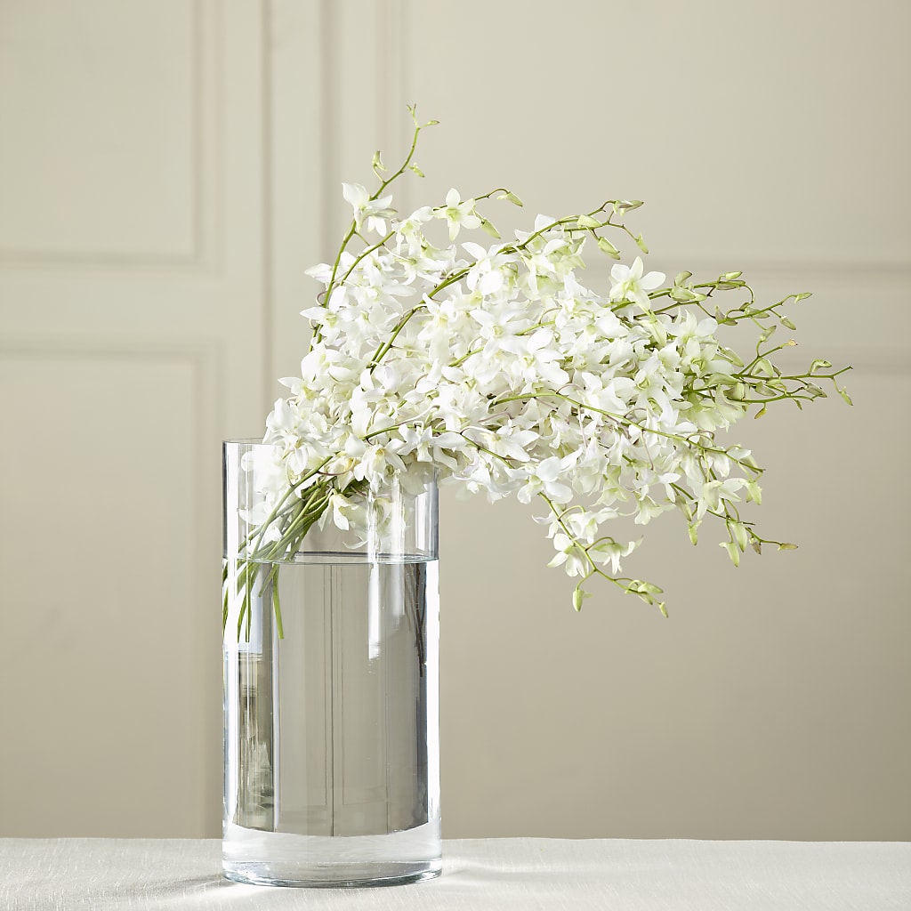 White Dendrobium Bouquet – RANCHVIEW FLORAL & INTERIORS, Overland Park KS