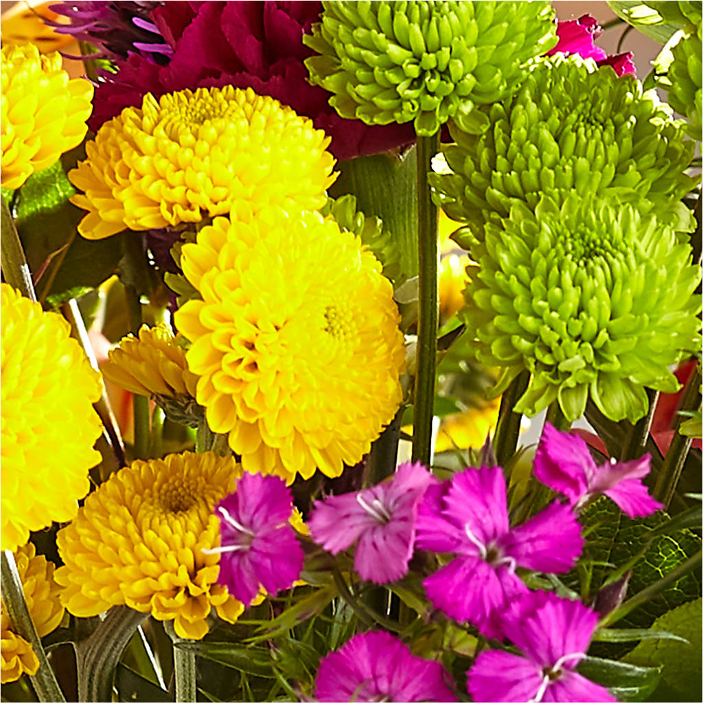 Bold & Bright – A Florist Original – RANCHVIEW FLORAL & INTERIORS, Overland Park KS
