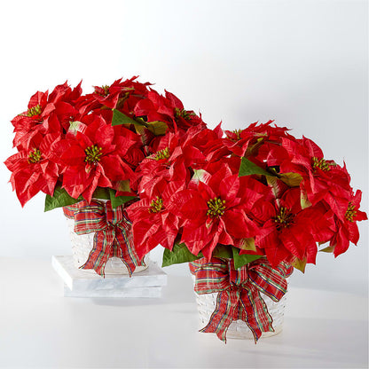Happiest Holidays Poinsettia Bundle – RANCHVIEW FLORAL & INTERIORS, Overland Park KS