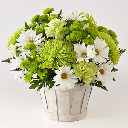 Lucky Charm Basket (Standard) – RANCHVIEW FLORAL & INTERIORS, Overland Park KS