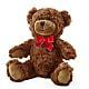 Adorable Plush Bear – RANCHVIEW FLORAL & INTERIORS, Overland Park KS