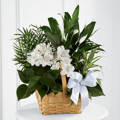 Peace & Serenity Dishgarden – RANCHVIEW FLORAL & INTERIORS, Overland Park KS
