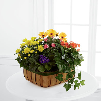 Gentle Blossoms Basket – RANCHVIEW FLORAL & INTERIORS, Overland Park KS