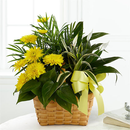 Loving Light Dishgarden – RANCHVIEW FLORAL & INTERIORS, Overland Park KS