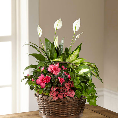 Dream in Pink Dishgarden – RANCHVIEW FLORAL & INTERIORS, Overland Park KS