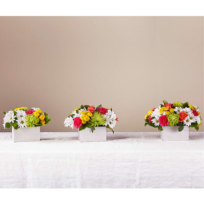 Sorbet Bouquet – RANCHVIEW FLORAL & INTERIORS, Overland Park KS