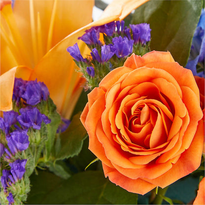Radiant Citrus Box Bouquet – RANCHVIEW FLORAL & INTERIORS, Overland Park KS
