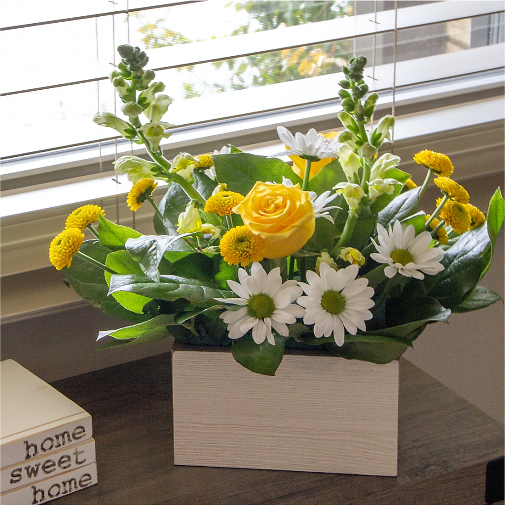Sun Salutation Box Bouquet – RANCHVIEW FLORAL & INTERIORS, Overland Park KS