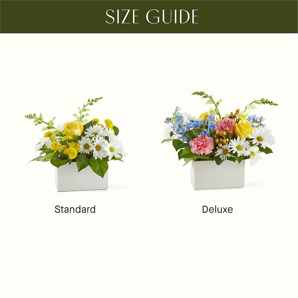 Sun Salutation Box Bouquet – RANCHVIEW FLORAL & INTERIORS, Overland Park KS