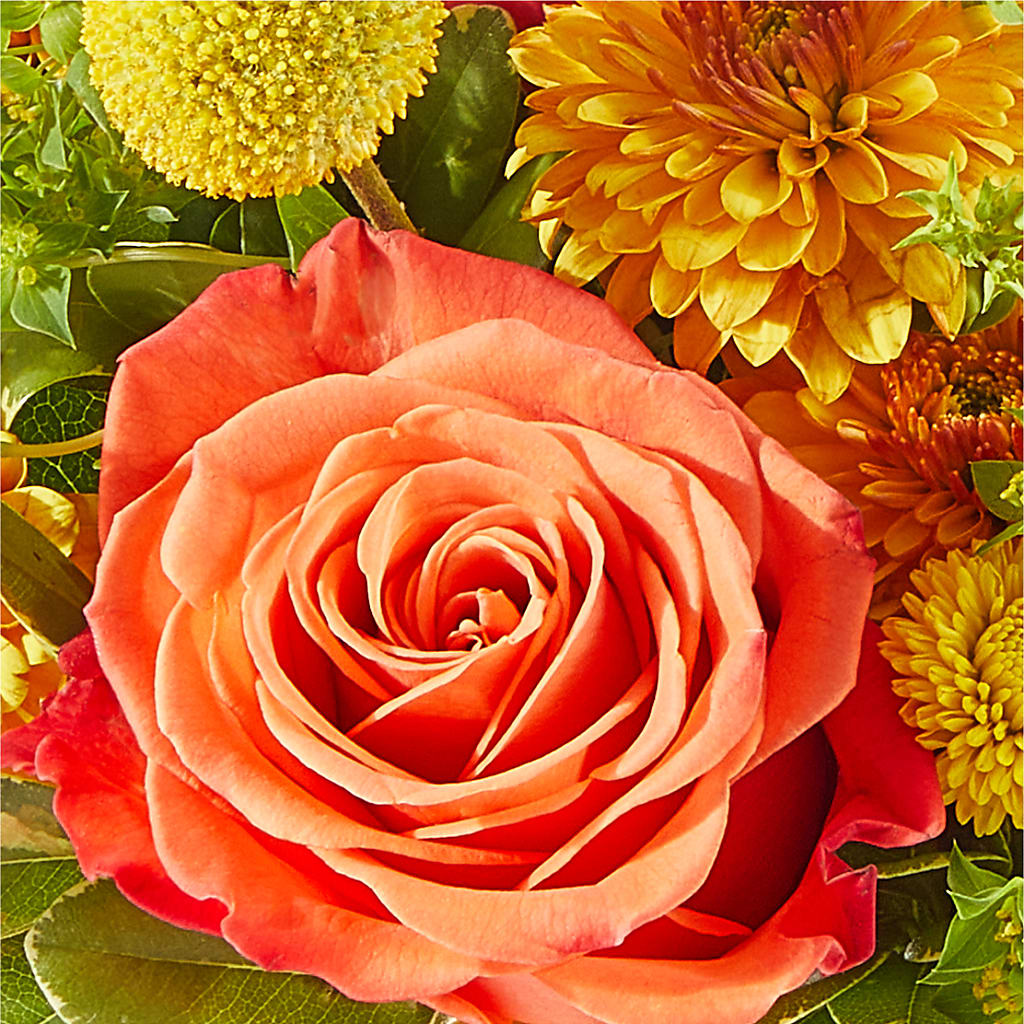 Gourdgeous Pumpkin – RANCHVIEW FLORAL & INTERIORS, Overland Park KS