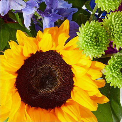 Catching Rays Bouquet – RANCHVIEW FLORAL & INTERIORS, Overland Park KS
