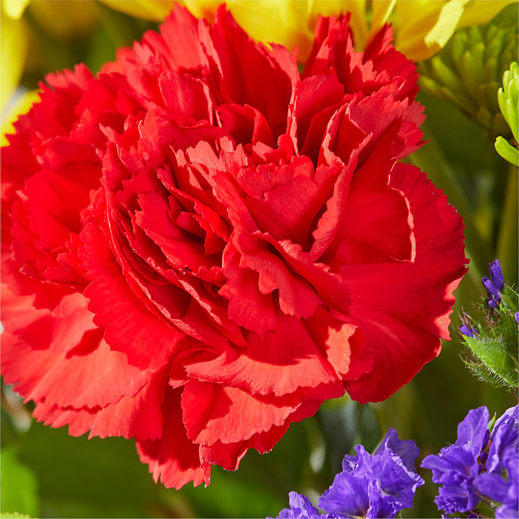 Brighter Days Bouquet – RANCHVIEW FLORAL & INTERIORS, Overland Park KS