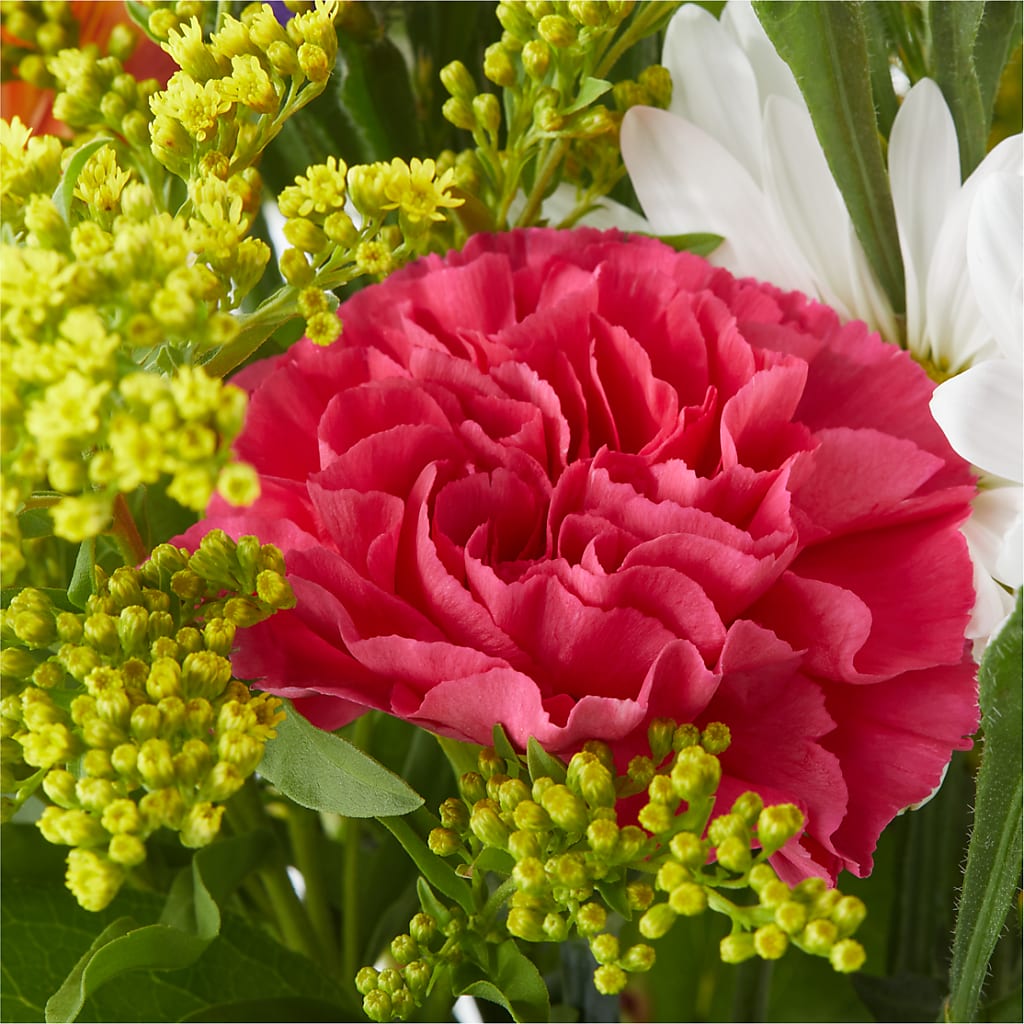 Oopsie Daisy Bouquet – RANCHVIEW FLORAL & INTERIORS, Overland Park KS