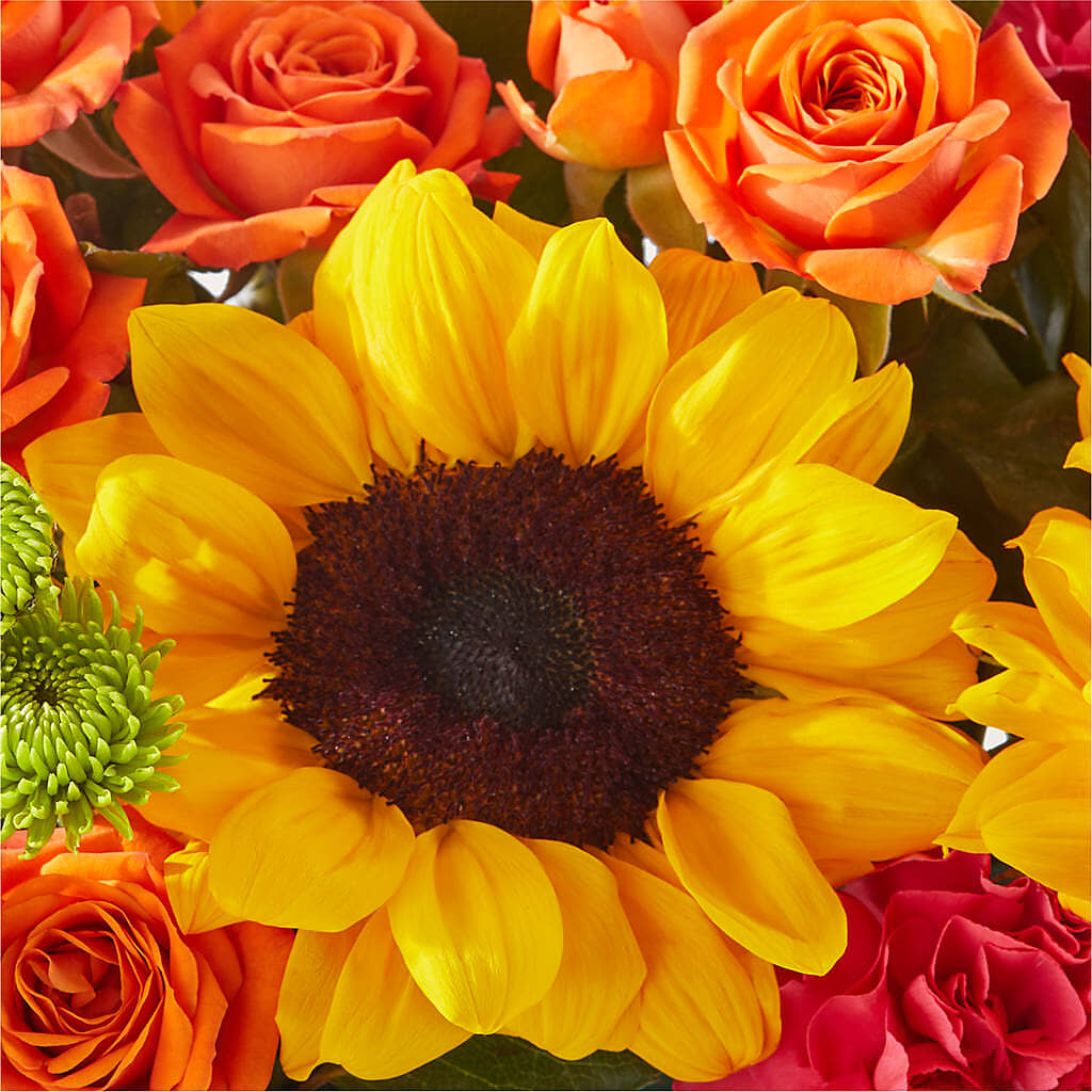 Sun-drenched Blooms Box Bouquet – RANCHVIEW FLORAL & INTERIORS, Overland Park KS