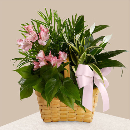 Living Spirit Dishgarden – RANCHVIEW FLORAL & INTERIORS, Overland Park KS