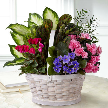 Peaceful Garden Planter – RANCHVIEW FLORAL & INTERIORS, Overland Park KS