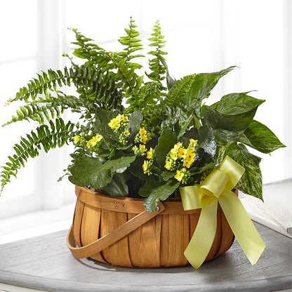 Always Dear Dishgarden – RANCHVIEW FLORAL & INTERIORS, Overland Park KS