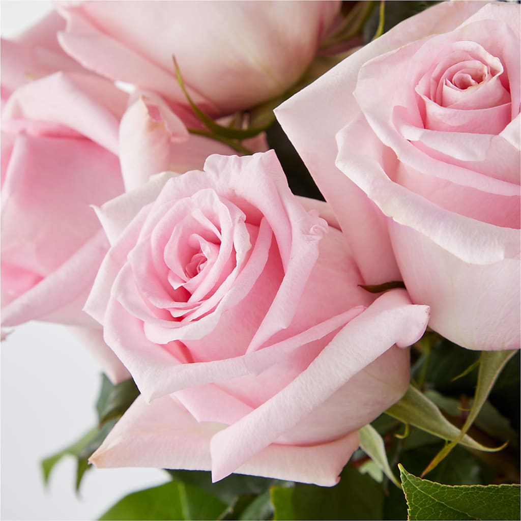 Picture Perfect Pink Rose Bouquet – RANCHVIEW FLORAL & INTERIORS, Overland Park KS