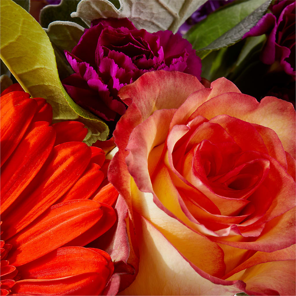 Sangria Bouquet – RANCHVIEW FLORAL & INTERIORS, Overland Park KS