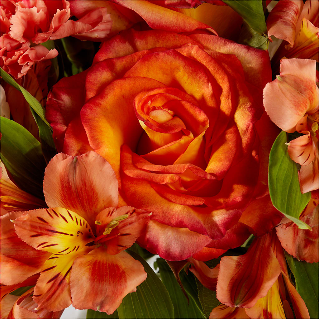 Apricot Glow Bouquet – RANCHVIEW FLORAL & INTERIORS, Overland Park KS