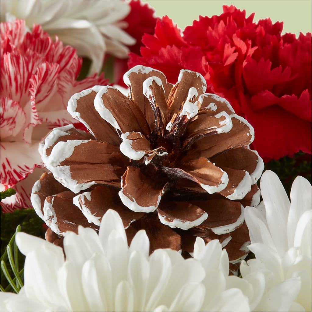 Candy Cane Lane Bouquet – RANCHVIEW FLORAL & INTERIORS, Overland Park KS
