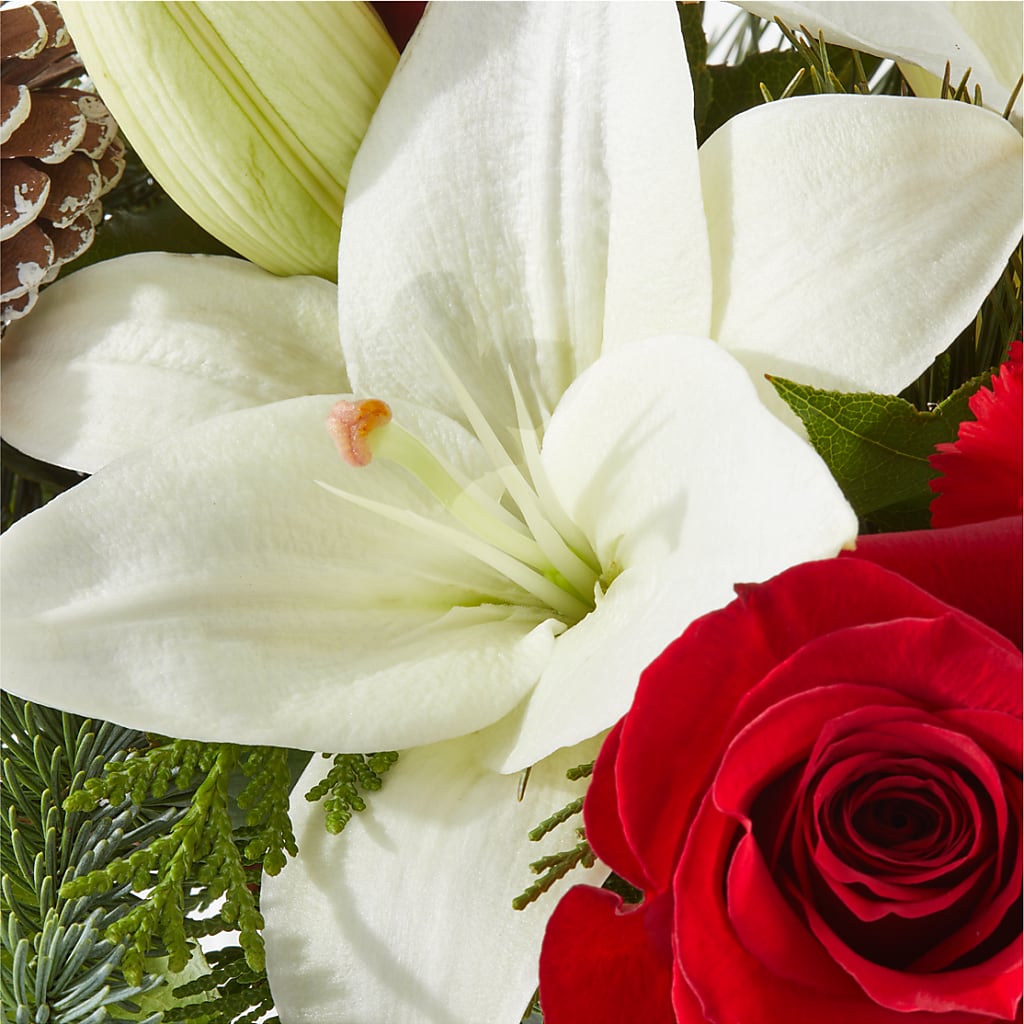 Oh So Jolly Bouquet – RANCHVIEW FLORAL & INTERIORS, Overland Park KS