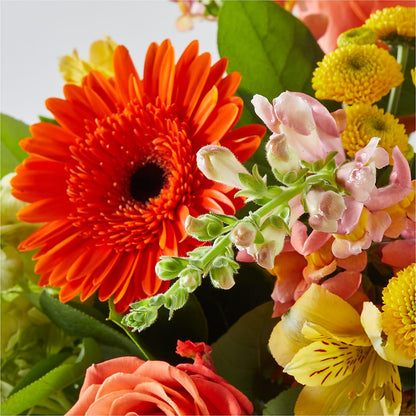 Autumn Sunshine Bouquet – RANCHVIEW FLORAL & INTERIORS, Overland Park KS
