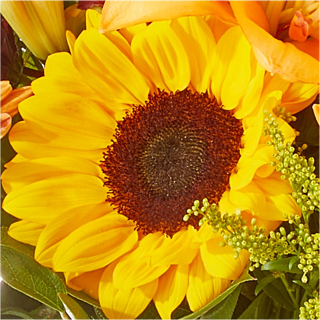 Seasons Change Bouquet – RANCHVIEW FLORAL & INTERIORS, Overland Park KS