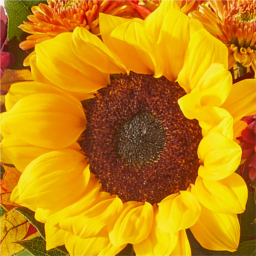 Sunny Side Bouquet – RANCHVIEW FLORAL & INTERIORS, Overland Park KS