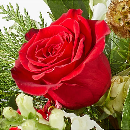 Deck the Halls Bouquet – RANCHVIEW FLORAL & INTERIORS, Overland Park KS