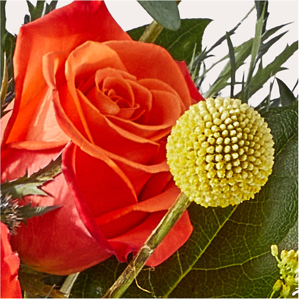 Disco Bouquet – RANCHVIEW FLORAL & INTERIORS, Overland Park KS