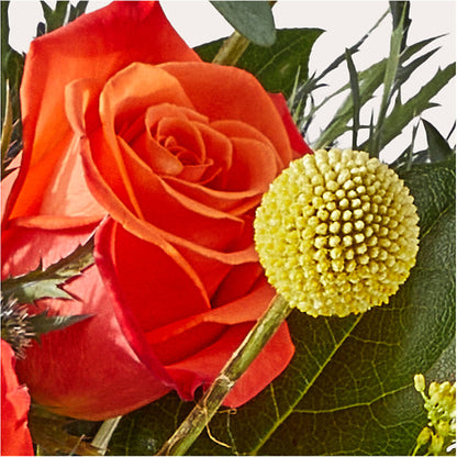 Disco Bouquet – RANCHVIEW FLORAL & INTERIORS, Overland Park KS