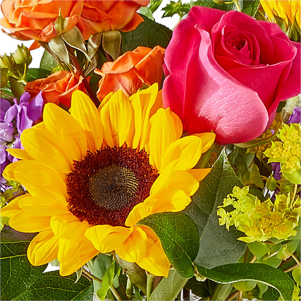 Vibrant Greetings Bouquet – RANCHVIEW FLORAL & INTERIORS, Overland Park KS