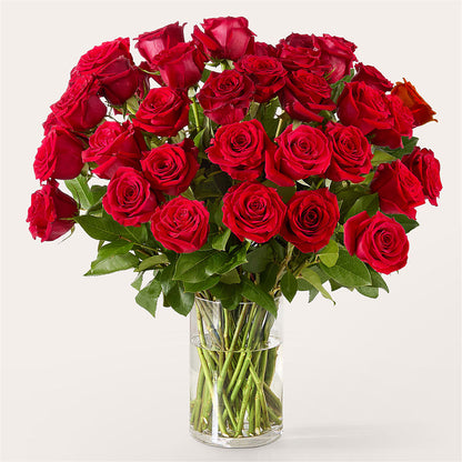 The One Red Rose Bouquet – RANCHVIEW FLORAL & INTERIORS, Overland Park KS