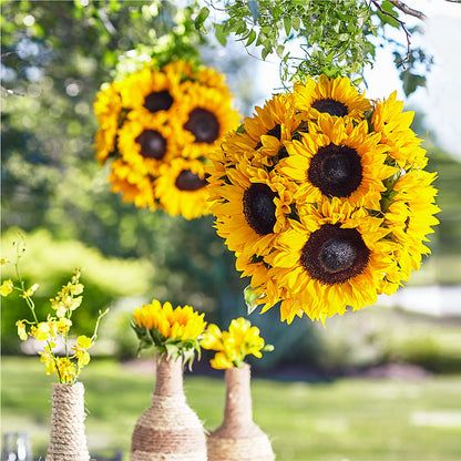 Sublime Garden Hanging Arrangement – RANCHVIEW FLORAL & INTERIORS, Overland Park KS