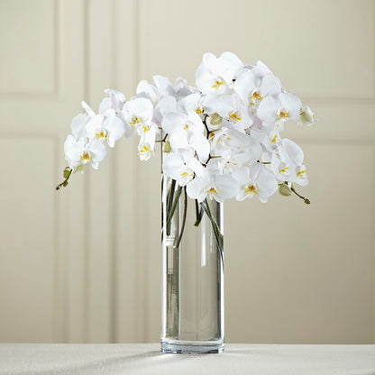 White Phalaenopsis Bouquet – RANCHVIEW FLORAL & INTERIORS, Overland Park KS